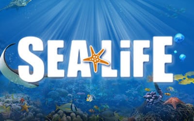 Sea Life Arizona