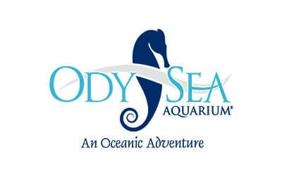 OdySea Aquarium