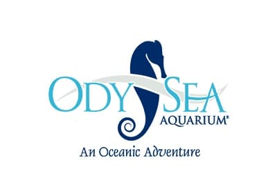 OdySea Aquarium