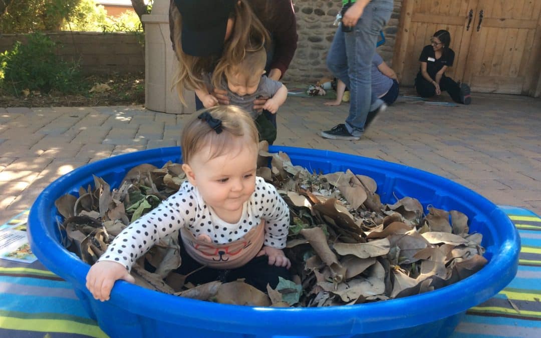 Zoo Tots