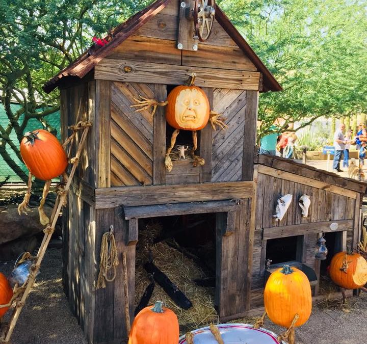 Enchanted Pumpkin Garden