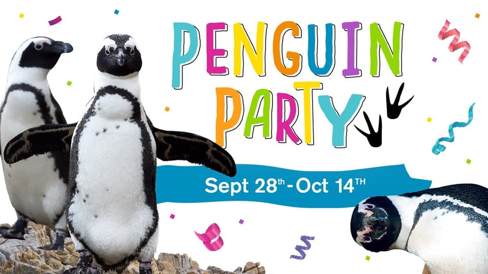 Fall Break Penguin Party: Oct 1-14