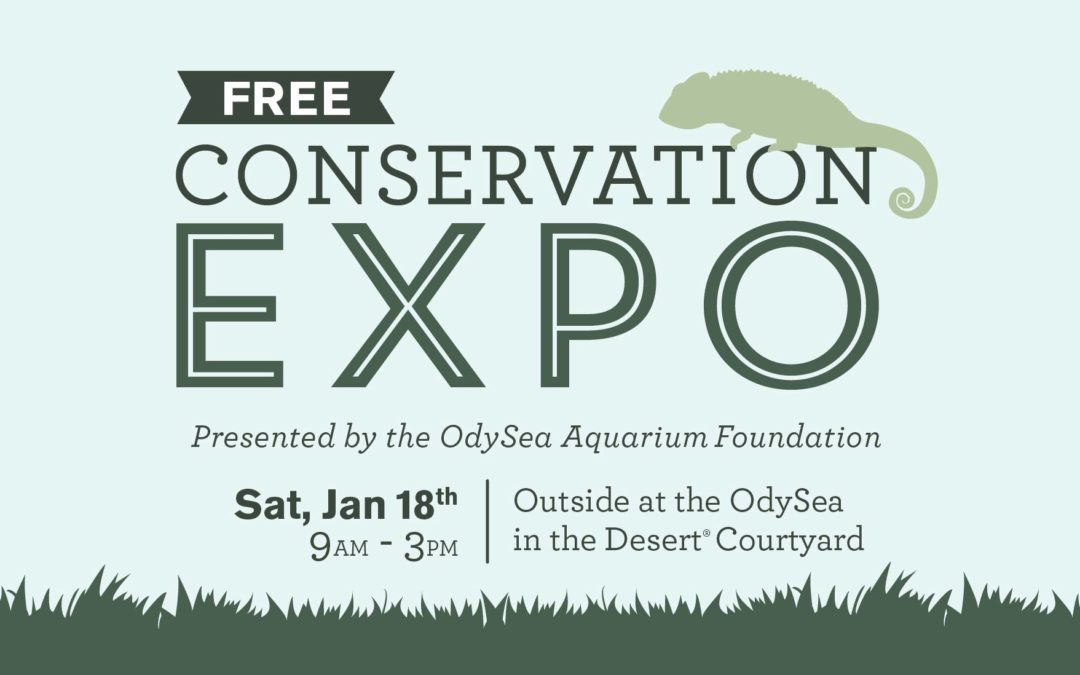Conservation Expo