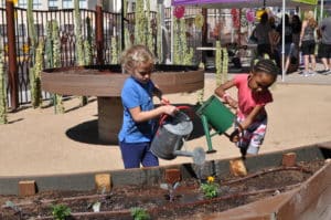 Children's Museum of Phx