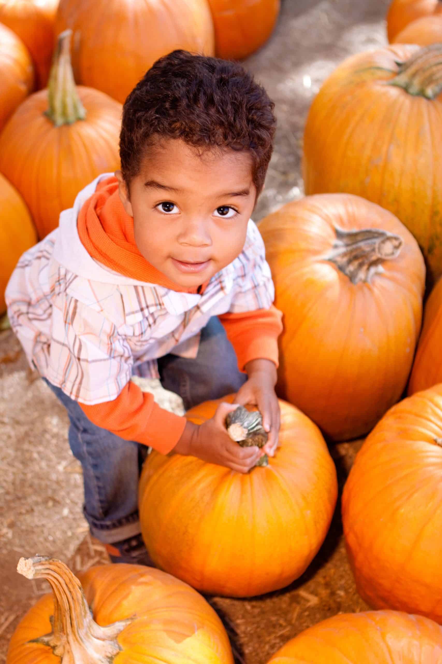 pumpkin patch - Arizona Parenting Magazine