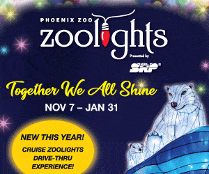 Phoenix ZooLights