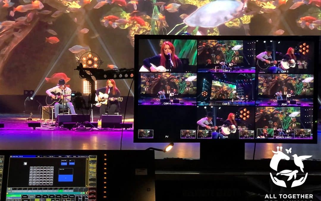 ALL TOGETHER FOR ANIMALS CONCERT – Help Our Phoenix Zoo!
