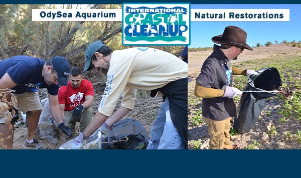 International Coastal Cleanup Day with OdySea Aquarium at Butcher Jones Recreation Site
