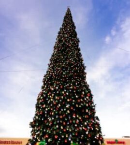 https://azparenting.com/wp-content/uploads/2022/06/AZs-Largest-Christmas-Tree-at-Outlets-at-Anthem-e1698972099161-269x300.jpg