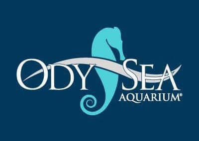 Camp Ocean at OdySea Aquarium
