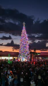 AZs Tallest Christmas-Tree at Outlets North Phoenix